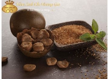 Quả la hán – Dược liệu thần kỳ tốt cho sức khỏe của mọi nhà