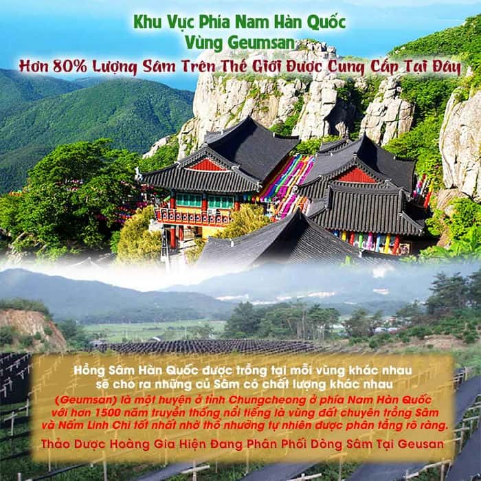 sam-tuoi-han-quoc-8-cu