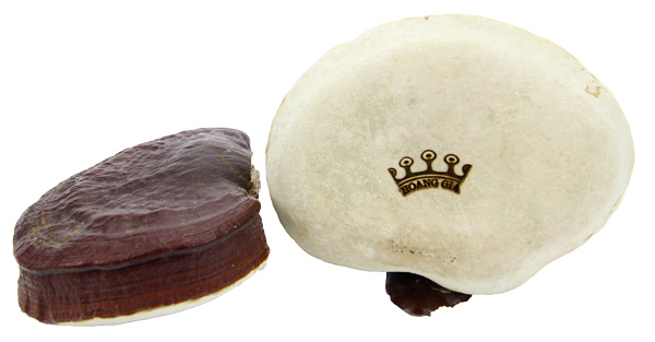 nam-linh-chi-nhat-ban-gia-bao-nhieu