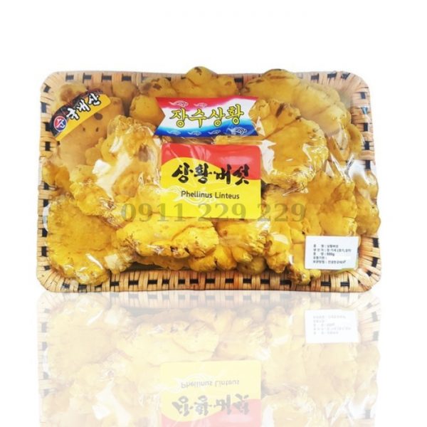Nấm Thượng Hoàng Hàn Quốc Nhập Khẩu Nguyên Khay 500g