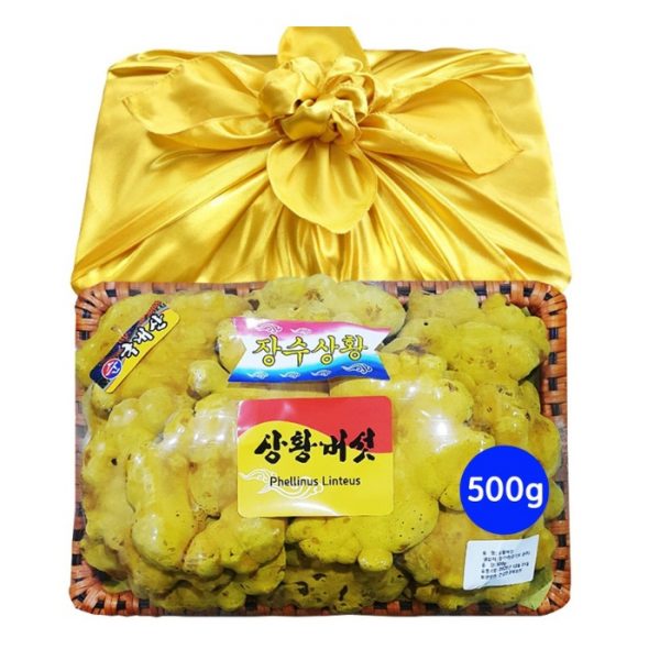Nấm Thượng Hoàng Hàn Quốc Nhập Khẩu Nguyên Khay 500g